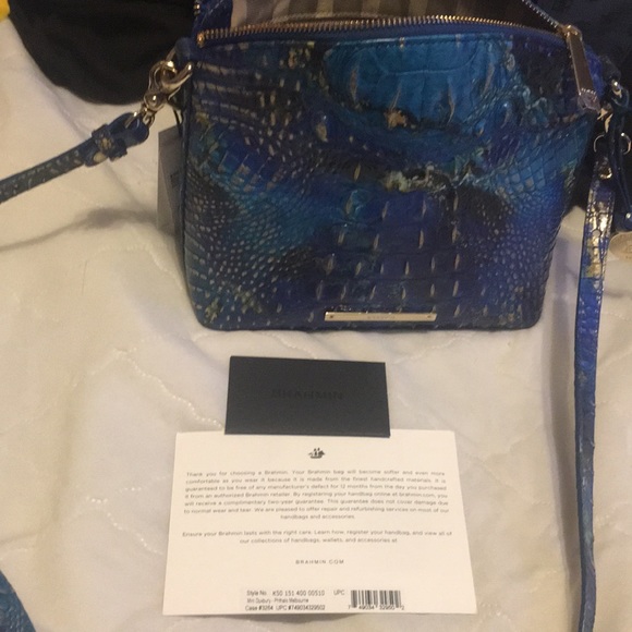 Brahmin - Picture 5 of 7